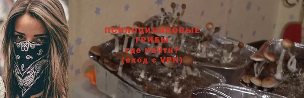 стафф Баксан