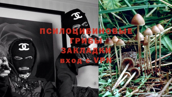 стафф Баксан