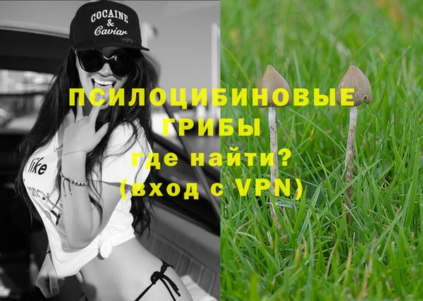 стафф Баксан