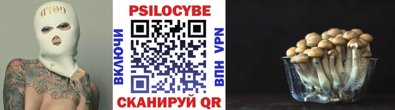 Галлюциногенные грибы MAGIC MUSHROOMS  Курчатов 